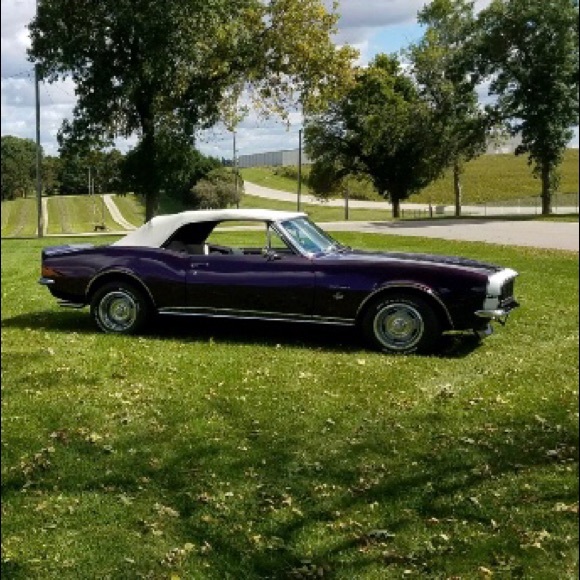 Meet your Posher, Rose - Picture 1 of 1